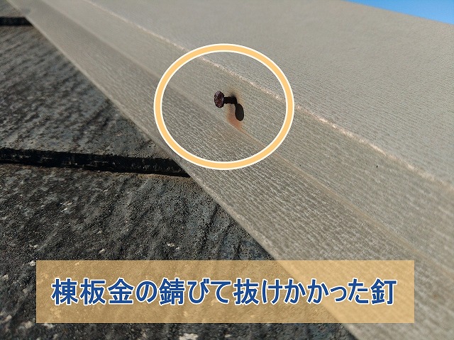 棟板金が錆びて釘が抜けかかった様子